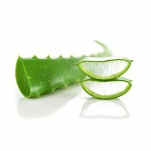 picture of cut aloe vera