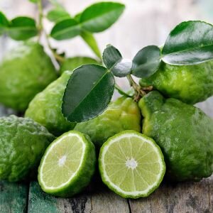 Bergamot Essential Oil, Pure Sicilian