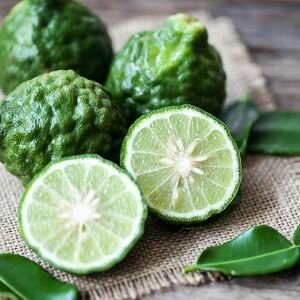 Bergamot Fragrance