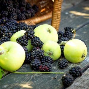 Blackberry & Bramley Apple Fragrance