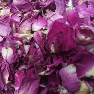 Cerise Rose Petals