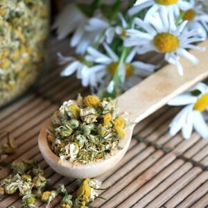 Chamomile Fragrance