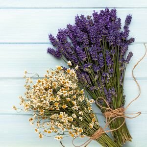 Lavender & Chamomile Fragrance, Allergen-Free