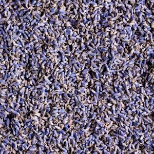 Lavender Flowers, Dried