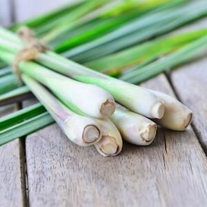 Lemongrass Essential Oil