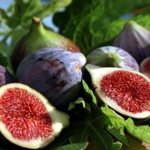 Mediterranean Fig Fragrance