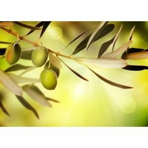 Olive Oil, Water Dispersible