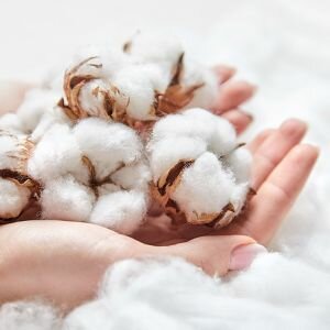 Pure Cotton Fragrance