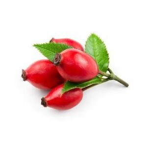 Rose Hip Oil, Refined