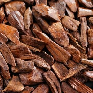 Sandalwood Essential Oil, East Indian