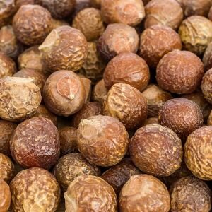 Soap Nuts