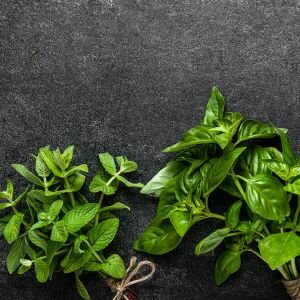 Spearmint & Basil Fragrance