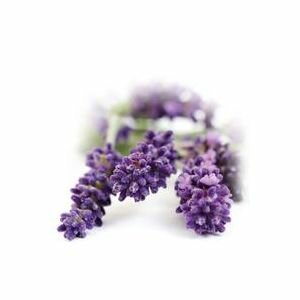 Lavender Hydrosol (French)