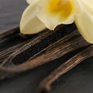 Vanilla Fragrance, Allergen-Free