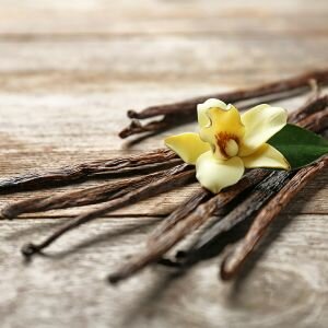 Vanilla Fragrance, Non-Discolouring Formula